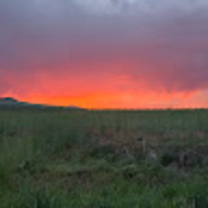 Meet your Posher, Kenadee